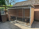 Douglas hout hondenkennel 3 X 2m compleet met dak