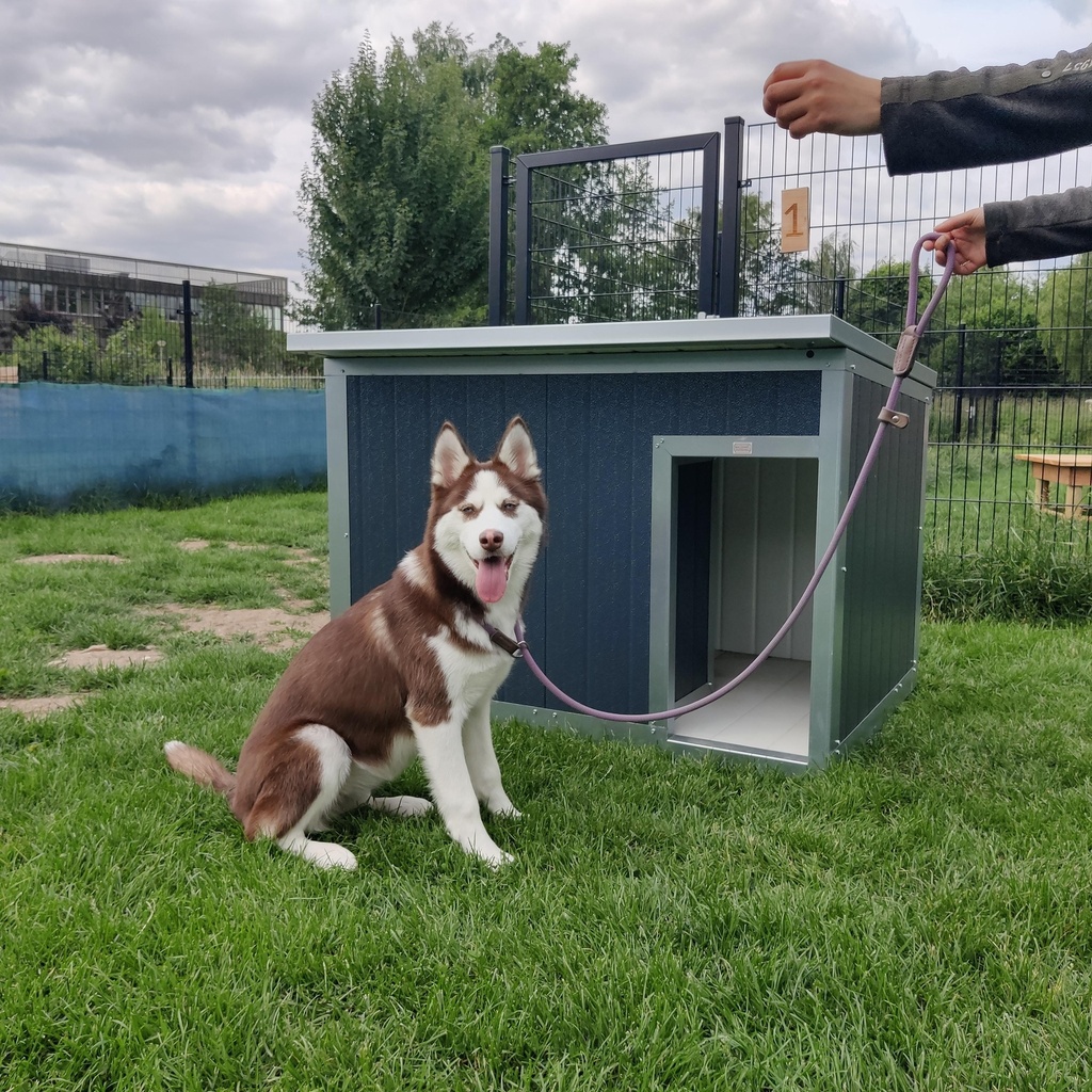 Hondenhok Geïsoleerd Antraciet L 