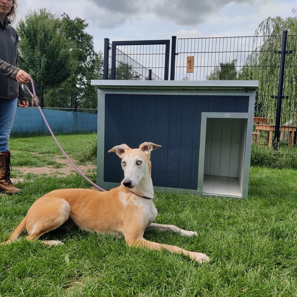 Hondenhok Geïsoleerd Antraciet L 