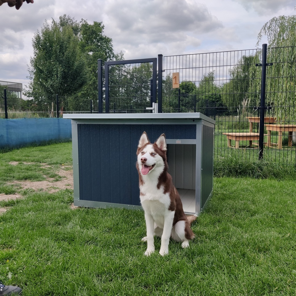 Hondenhok Geïsoleerd Antraciet L 