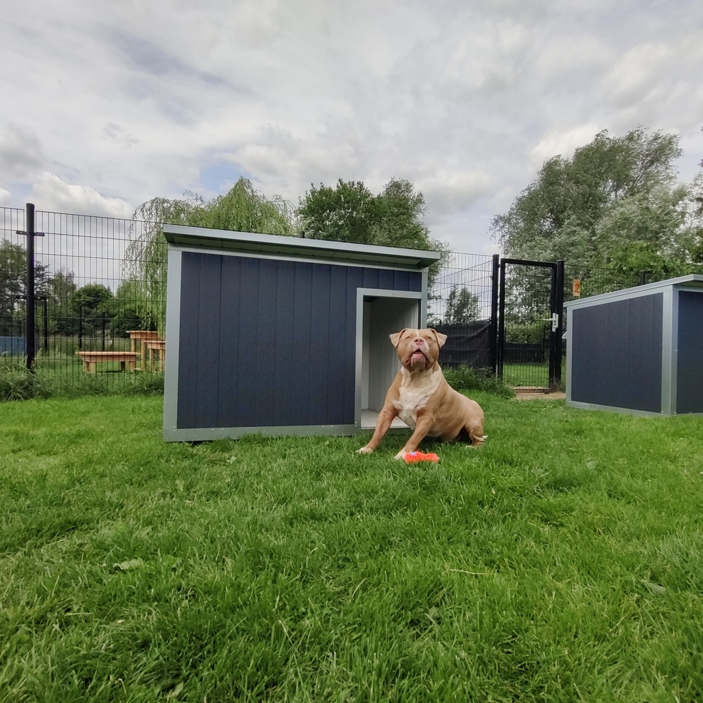 Hondenhok Geïsoleerd Antraciet XL