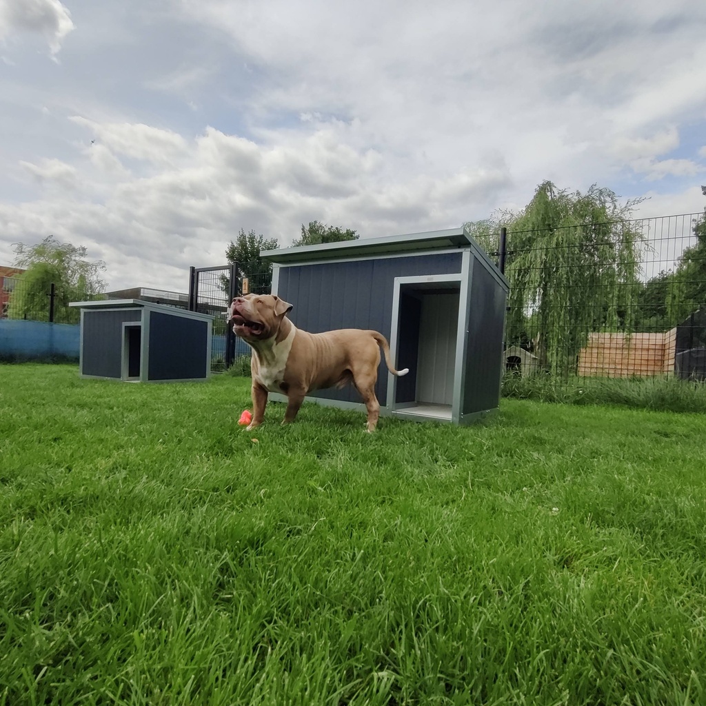 Hondenhok Geïsoleerd Antraciet XL