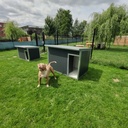 Hondenhok Geïsoleerd Antraciet XL