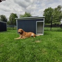 Hondenhok Geïsoleerd Antraciet XXL