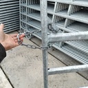 3m x 1,7m Texas weidepaneel,