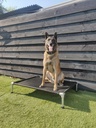 Stretcher trampoline doek ligvlonder 