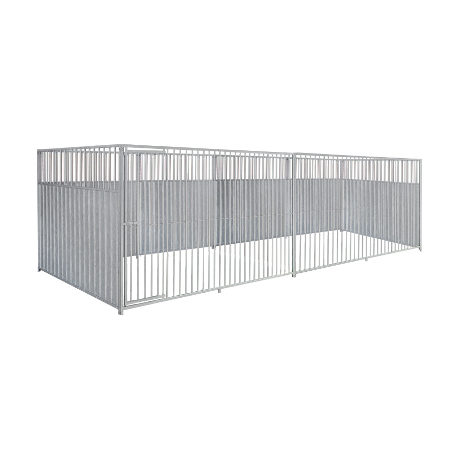 2/3 damwand hondenkennel 6 X 2m zonder dak