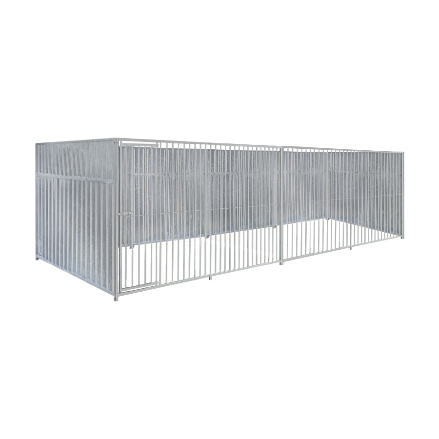 Geheel dicht damwand hondenkennel 6 X 2m zonder dak