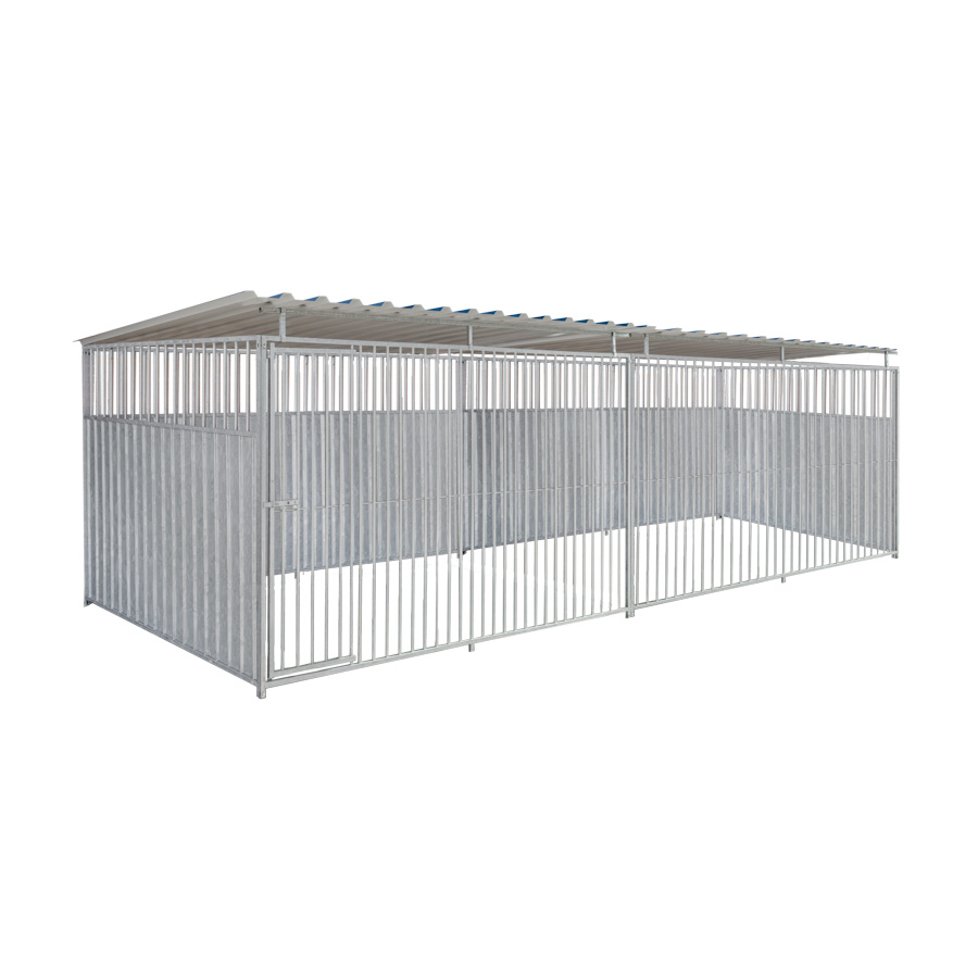2/3 damwand hondenkennel 6 X 2m compleet met dak